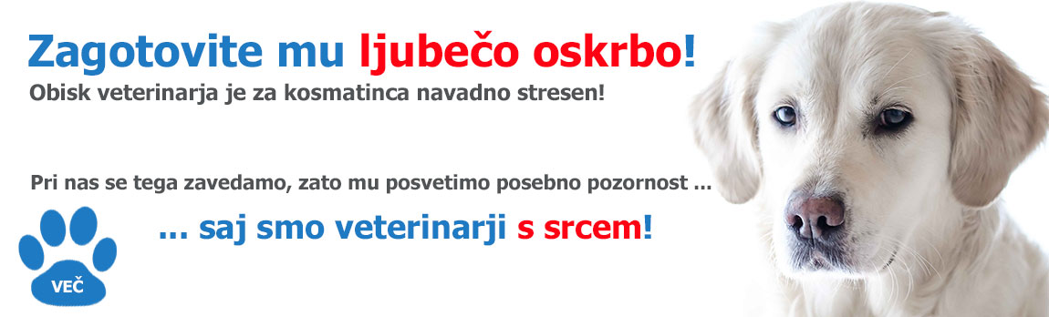 Veterinarji s srcem